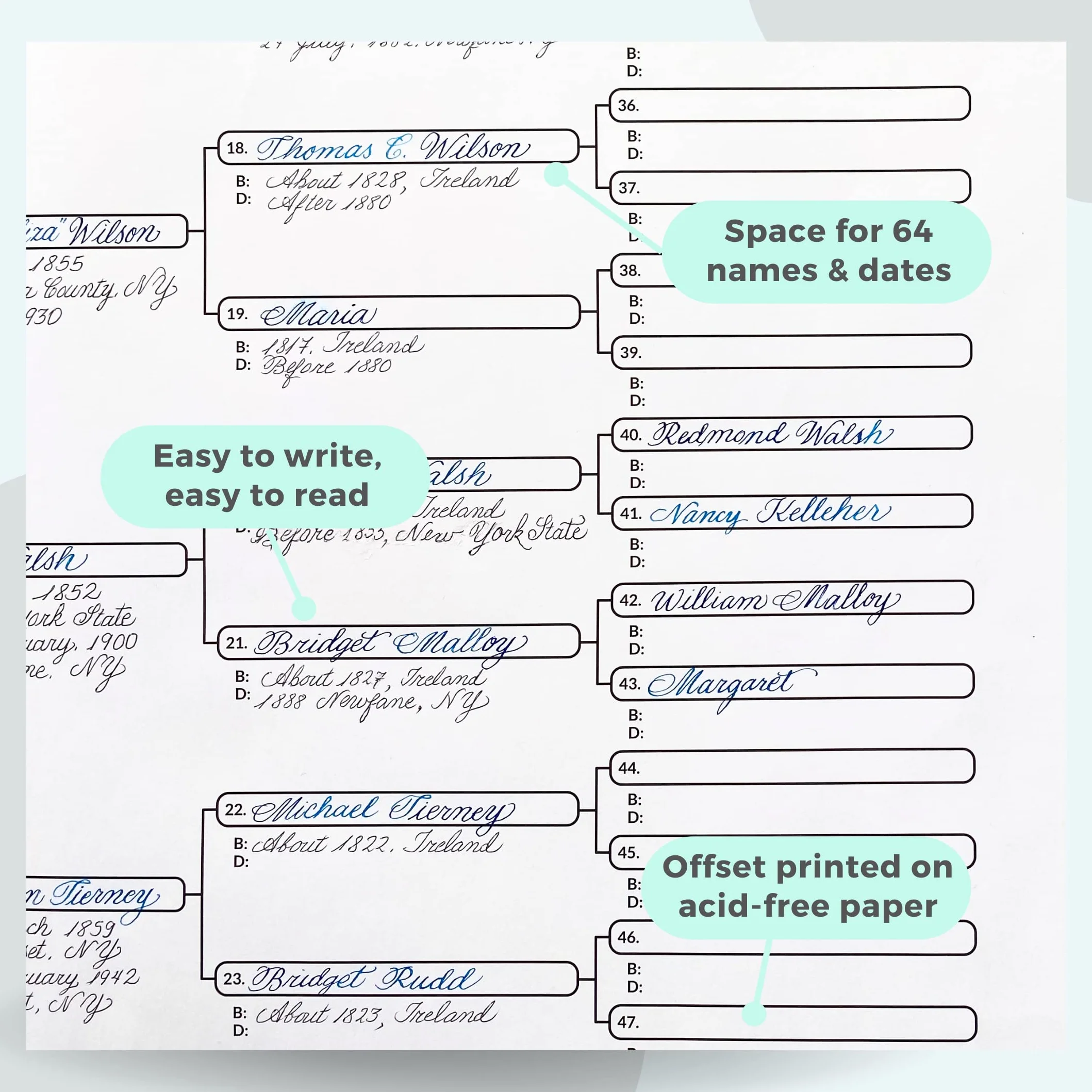 EASYGENIE 10 Large Print Six Generation Pedigree Charts Archival-Quality Genealogy Forms