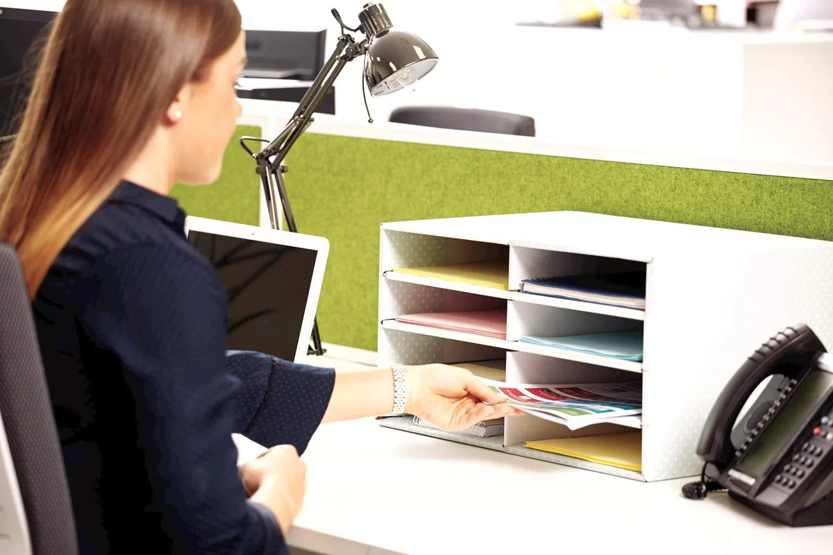 BANKERS BOX Fellowes Module Multi-Rangement Style Trieur De Bureau Vert/Blanc