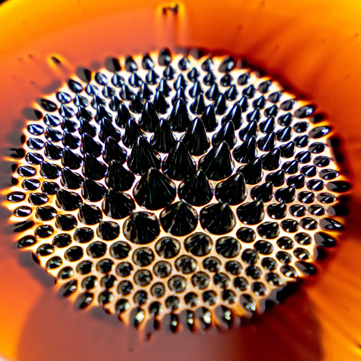 Ferrofluid (magnets4you) Fer liquide, liquide magnétique pour illustrer les lignes de champ magnétique, expériences magnétiques - 60 ml