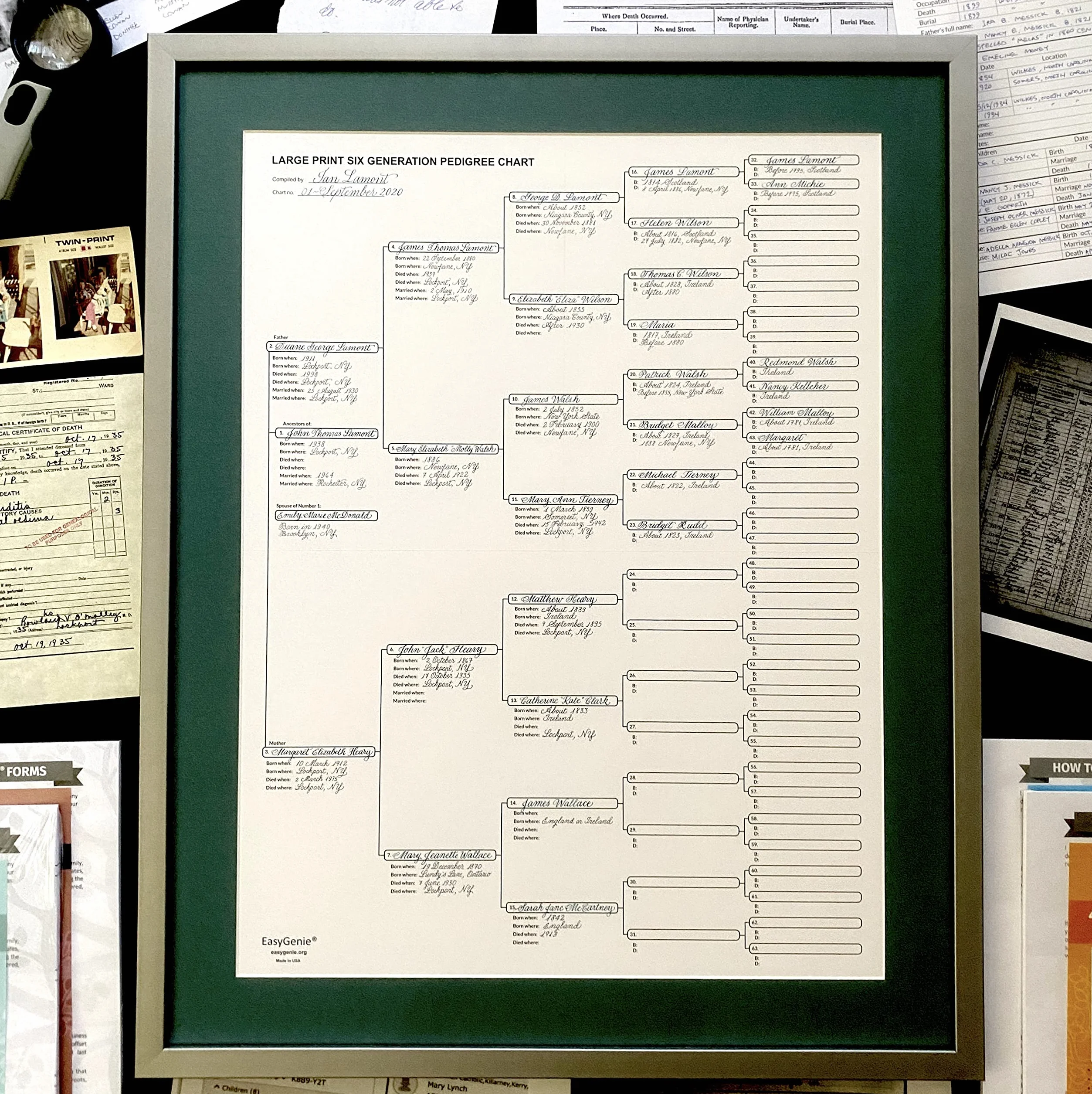 EASYGENIE 10 Large Print Six Generation Pedigree Charts Archival-Quality Genealogy Forms