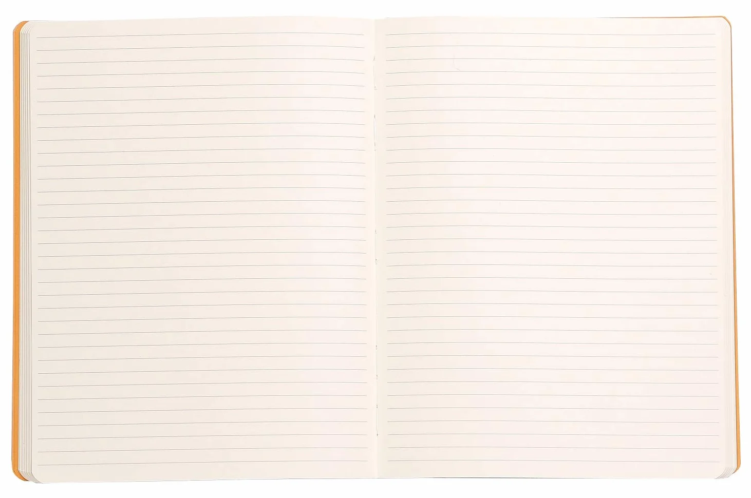 Rhodia Rhodiarama Cahier Souple Ligné 19 x 25 cm 160 Pages Papier Clairefontaine Ivoire 90 g/m² Couverture Simili Cuir