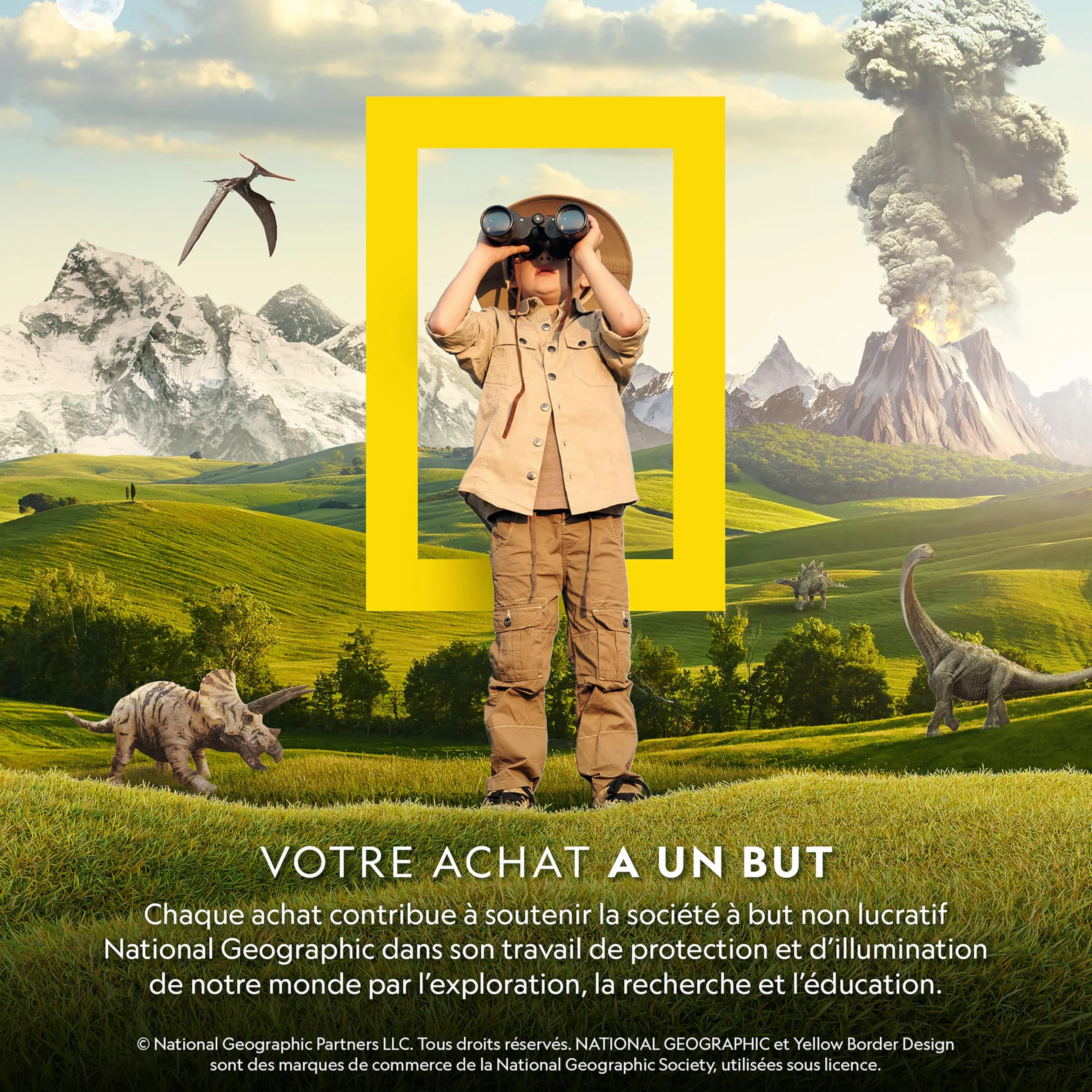 NATIONAL GEOGRAPHIC Calendrier de l'Avent Gemmes 2025 - 24 Gemmes à Découvrir, Collection de Roches Complète avec Mini Kit de Fouille