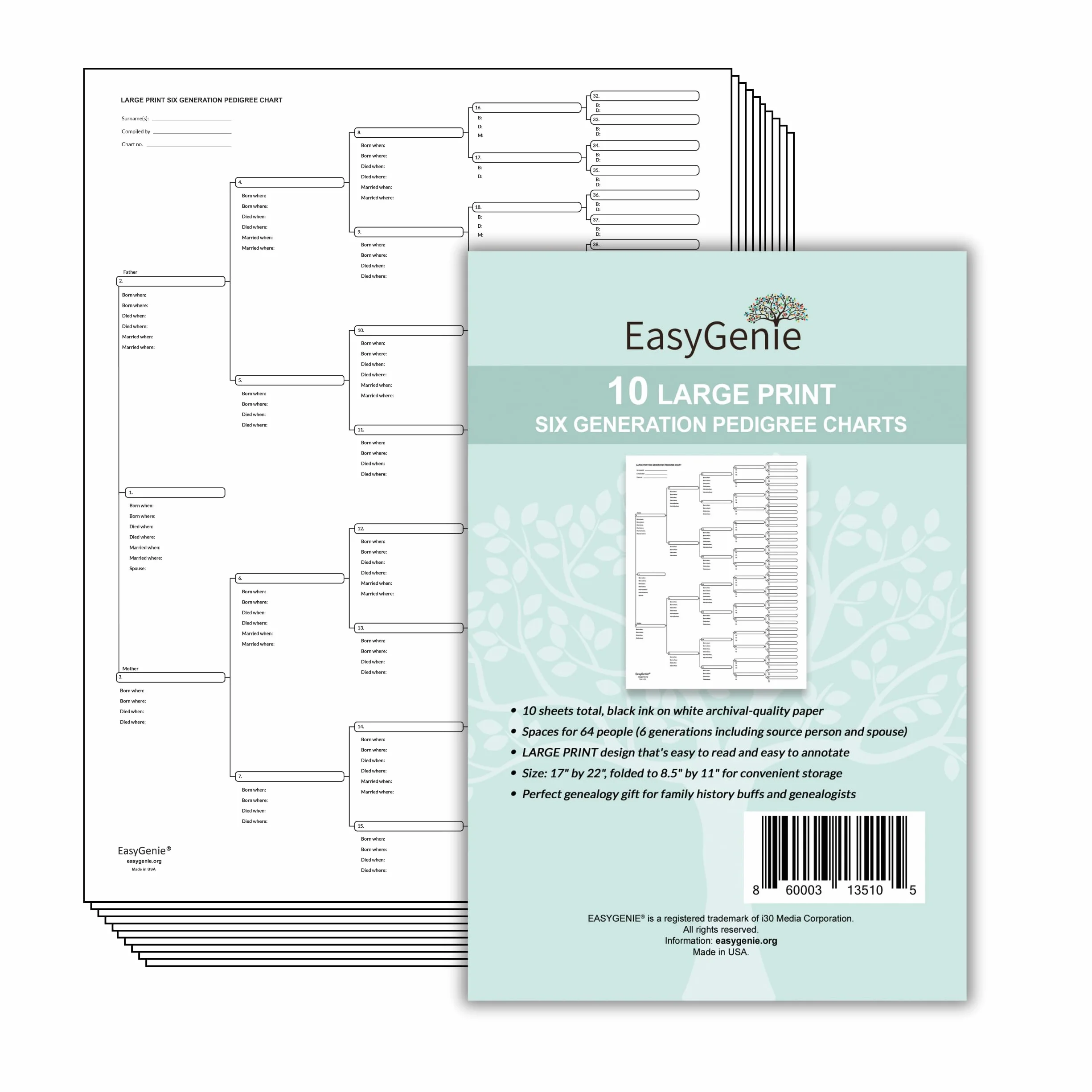 EASYGENIE 10 Large Print Six Generation Pedigree Charts Archival-Quality Genealogy Forms